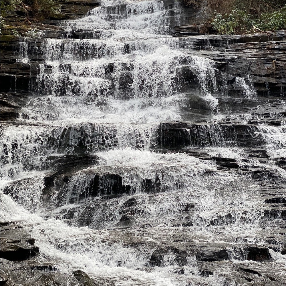 Meet your Posher, Lily